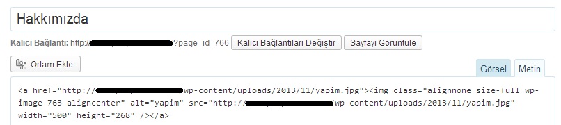  Wordpress Editörü !!! Delireceğim...