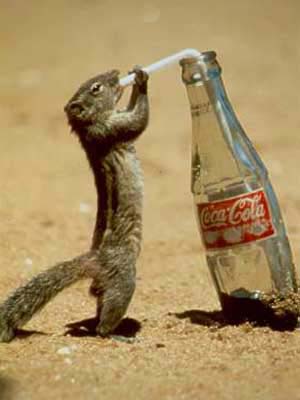  COCA COLA - PEPSİ COLA - COLA TURCA (anket)