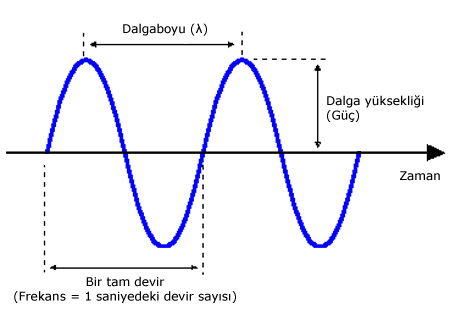  FEN [Denemelerde sık karşılaşılan bilgiler]