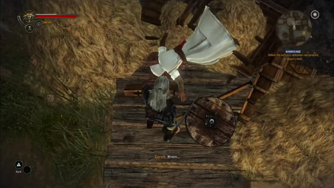  Altair The Witcher 2'deki Ot Yığınında Kayboldu! [SPOILER]