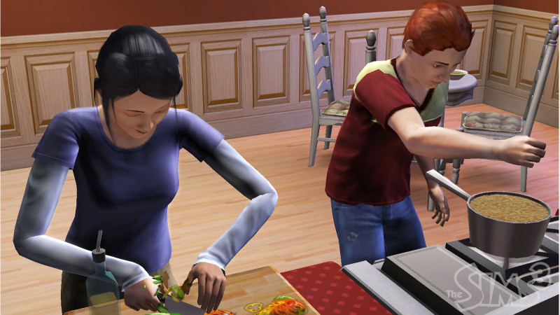  The Sims  3 Genel Bilgiler