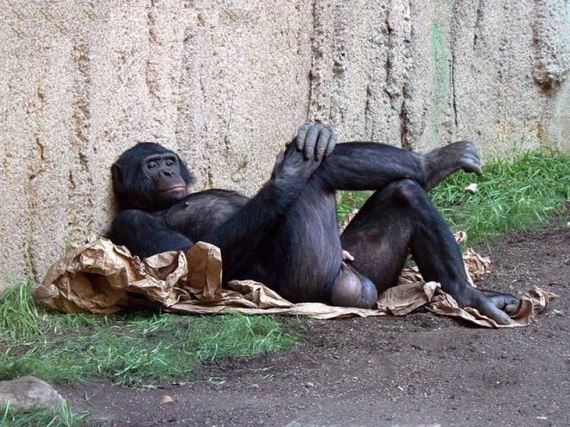  8mbit internet saniyede kaç kbayt indirmek demektir ?