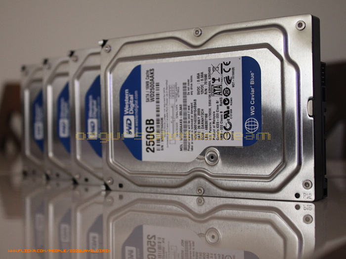  SATILDI Western Digital Caviar Blue SATA2 HDD - Model No: WD2500AAKS - RAID0