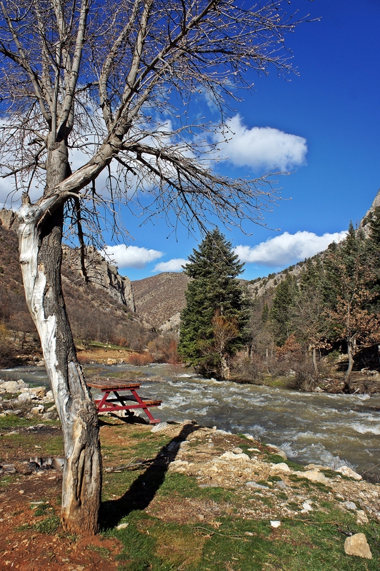  ***18-55 Lensler İle Çekilmiş Fotoğraflar ***