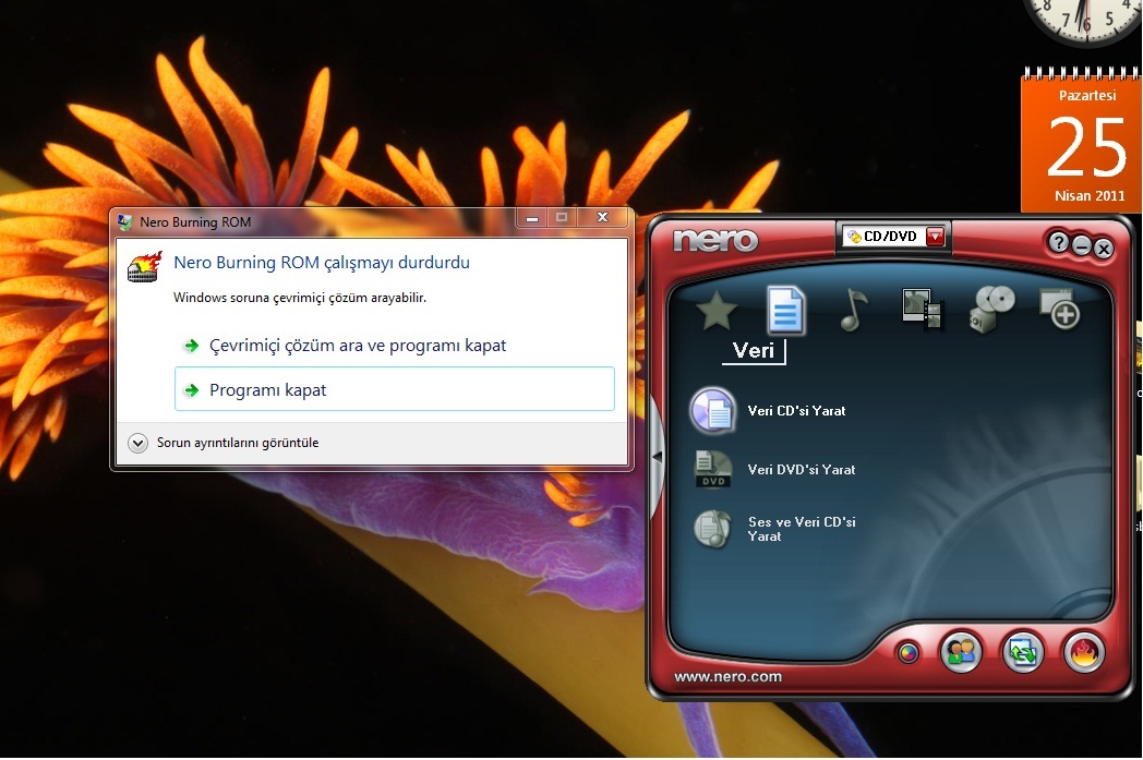  Windows 7 Nero Sorunu