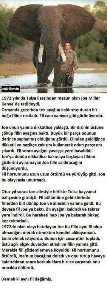 😔 Okuyunca hüzünlendim.   SS