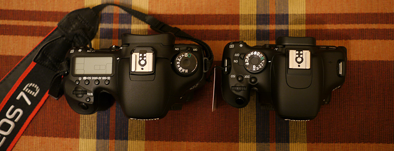  Canon 7D vs Canon 600D vs Panasonic GH1(2) fotoğraflı boyut karşılarştırması