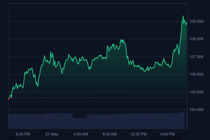 Bitcoin rekor tazeledi, altcoin piyasası seyretti