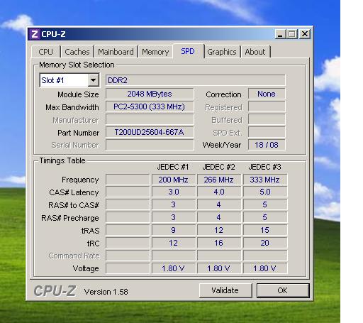  2 GB DDR2 ram 128 MB gozukuyor yardım!