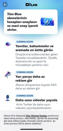 Twitter Blue nedir, mavi tik nasıl alınır?