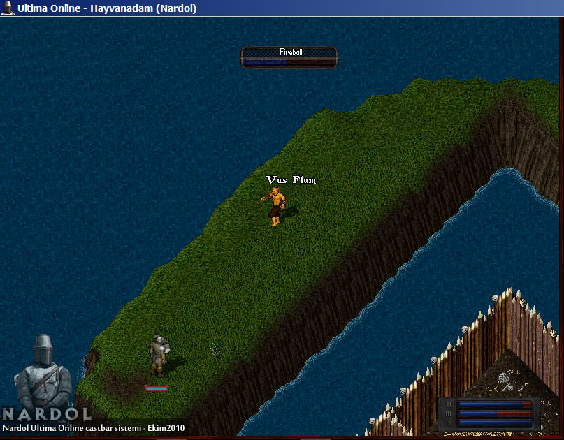  Nardol Ultima Online - Açık Beta