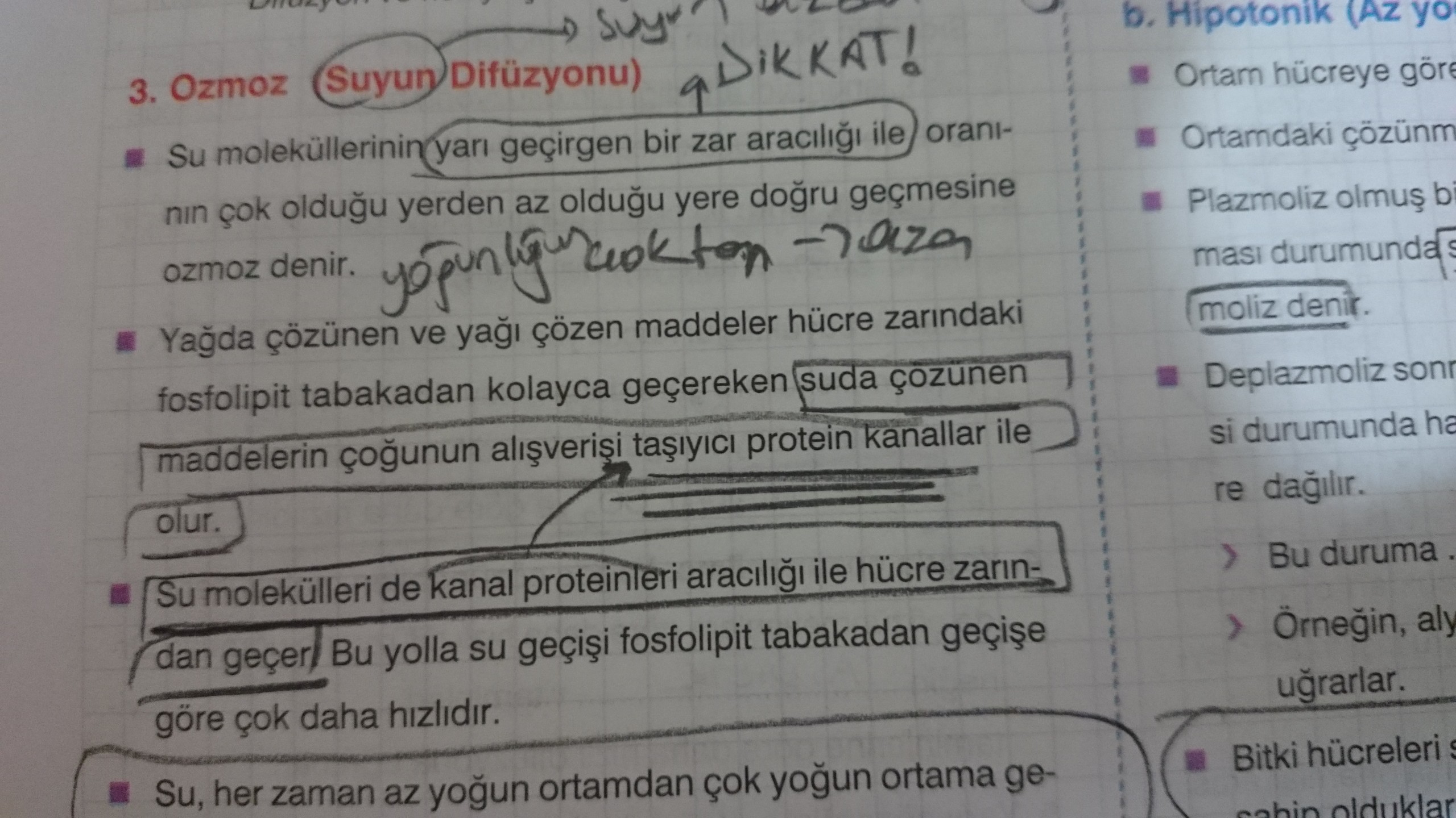  OZMOZ, KOLAYLAŞTIRILMIŞ DİFÜZYON, AKTİF TAŞIMA KRİTİK SORULAR