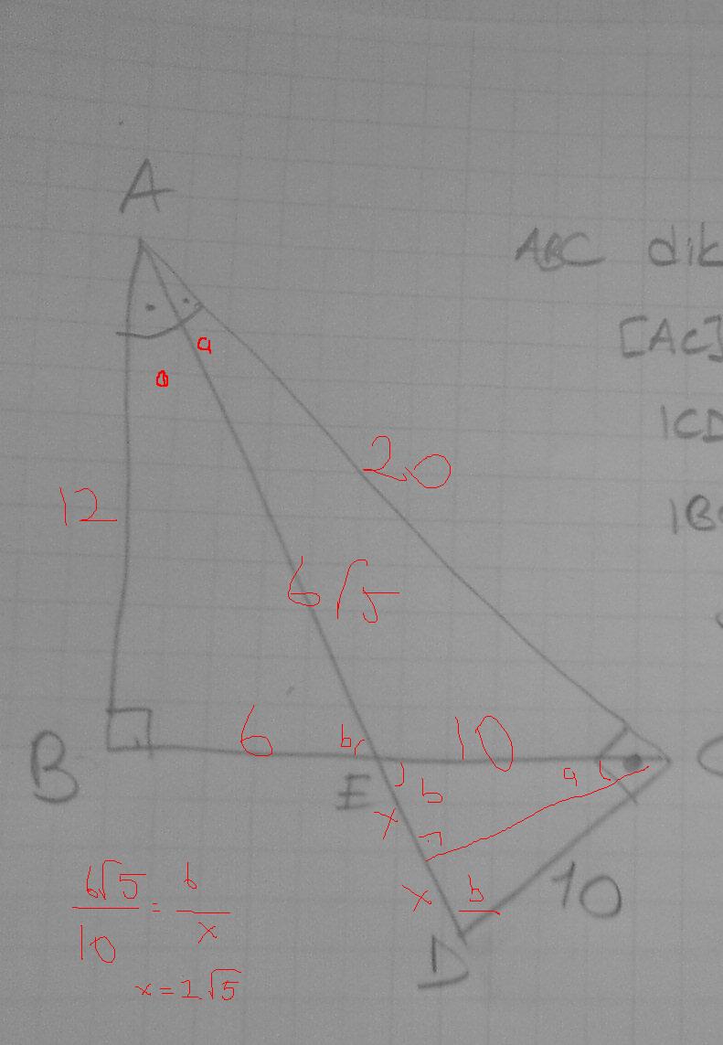  1 tane geometri sorusu