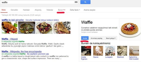  Google Burun