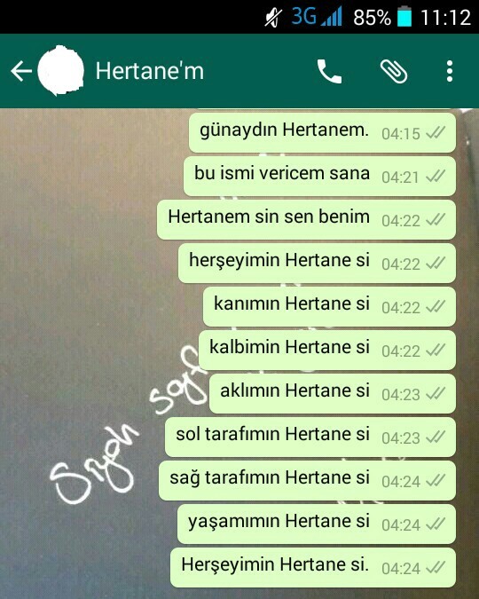 Hertanem vs Birtanem