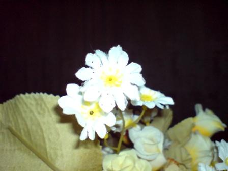  ===>3,2MPLİ k770/K790/K810/C510/P1 FOTOĞRAF PAYLAŞIM ARENASI<===