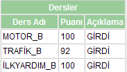  EHLİYET SINAVI SONUÇLARI AÇIKLANDI.