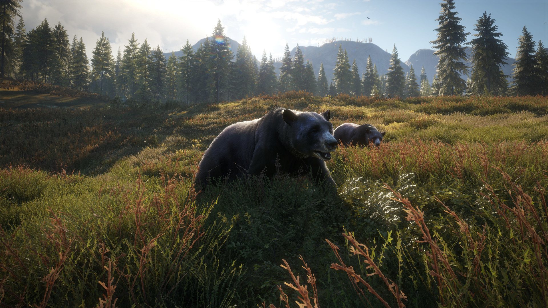 TheHunter:Call of the Wild İnceleme