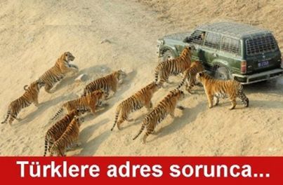  Türklere adres sorulduğunda ..