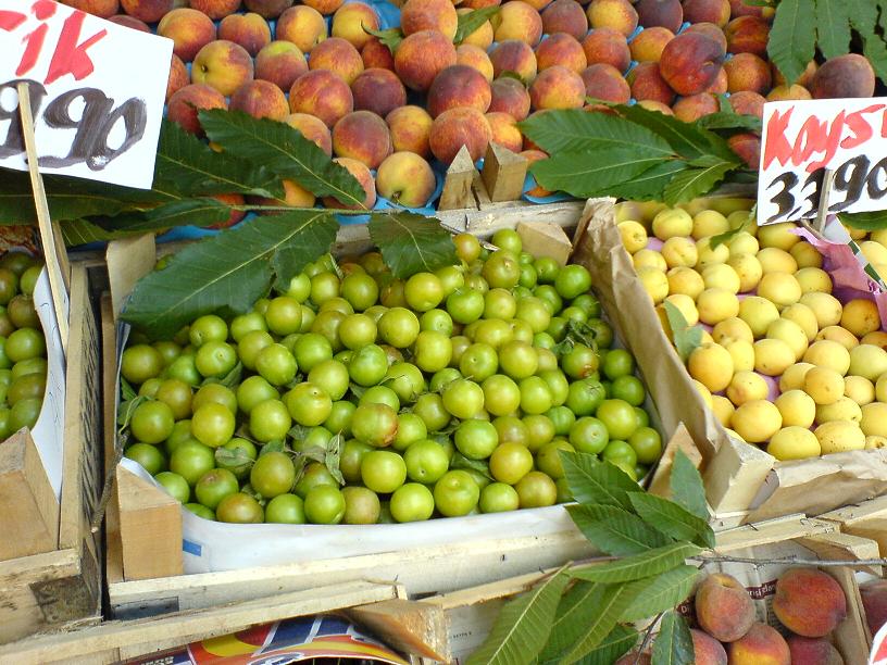  EN GÜZEL MAKROLAR BURAYA  ---S.E-----