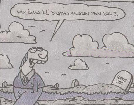  Yiğit Özgür Karikatürleri ***