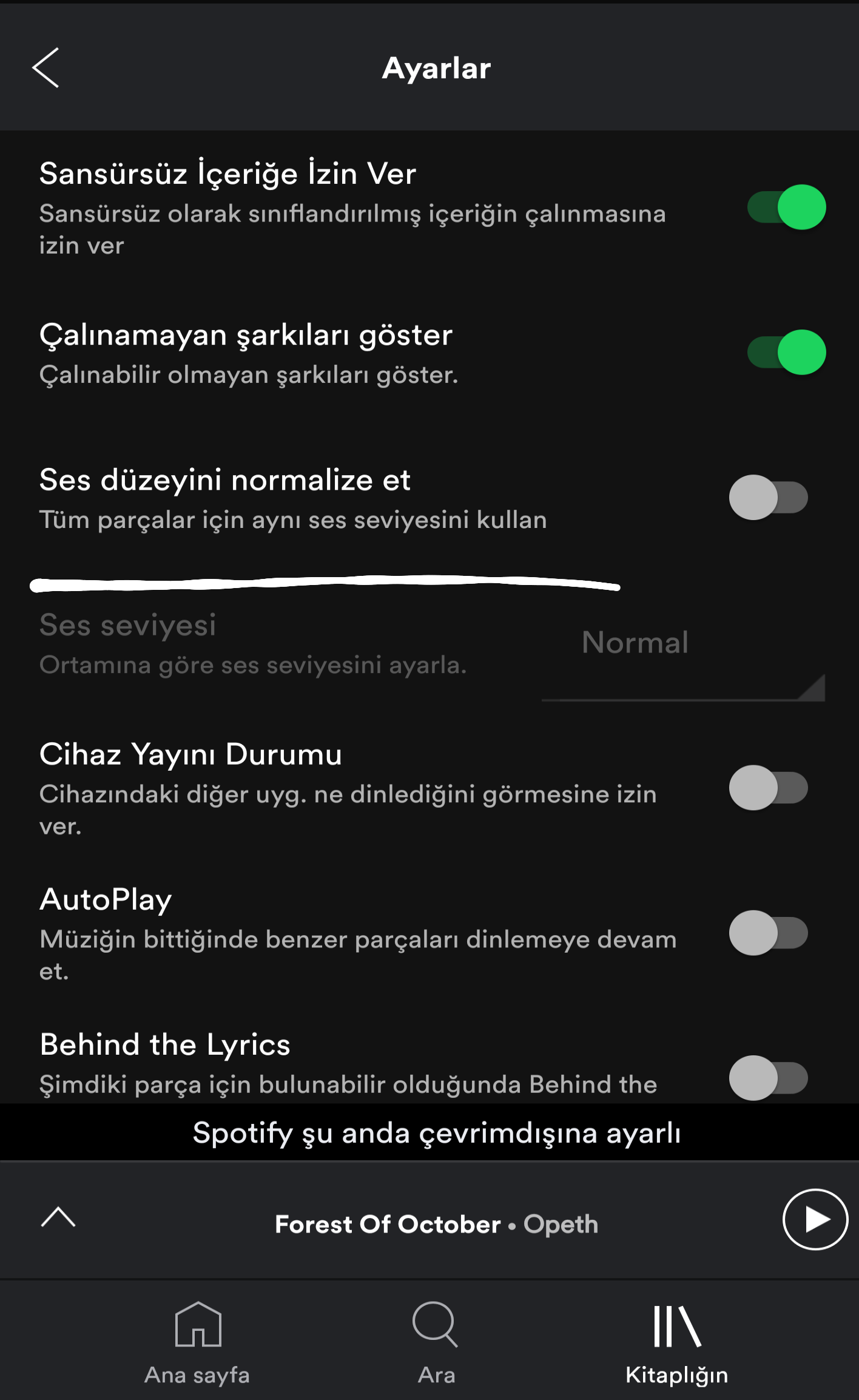 Spotify Audio Normalization ne işe yarar?