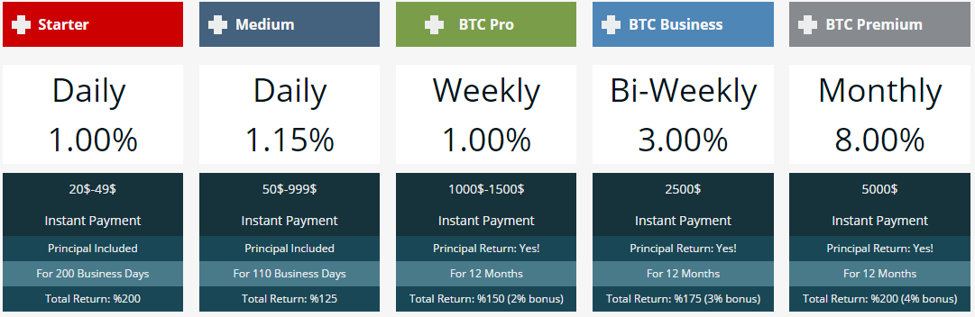 Bitcoin Invest4u Ltd.-Uzun Vadeli Yatırım Programı-310 Gündür Online