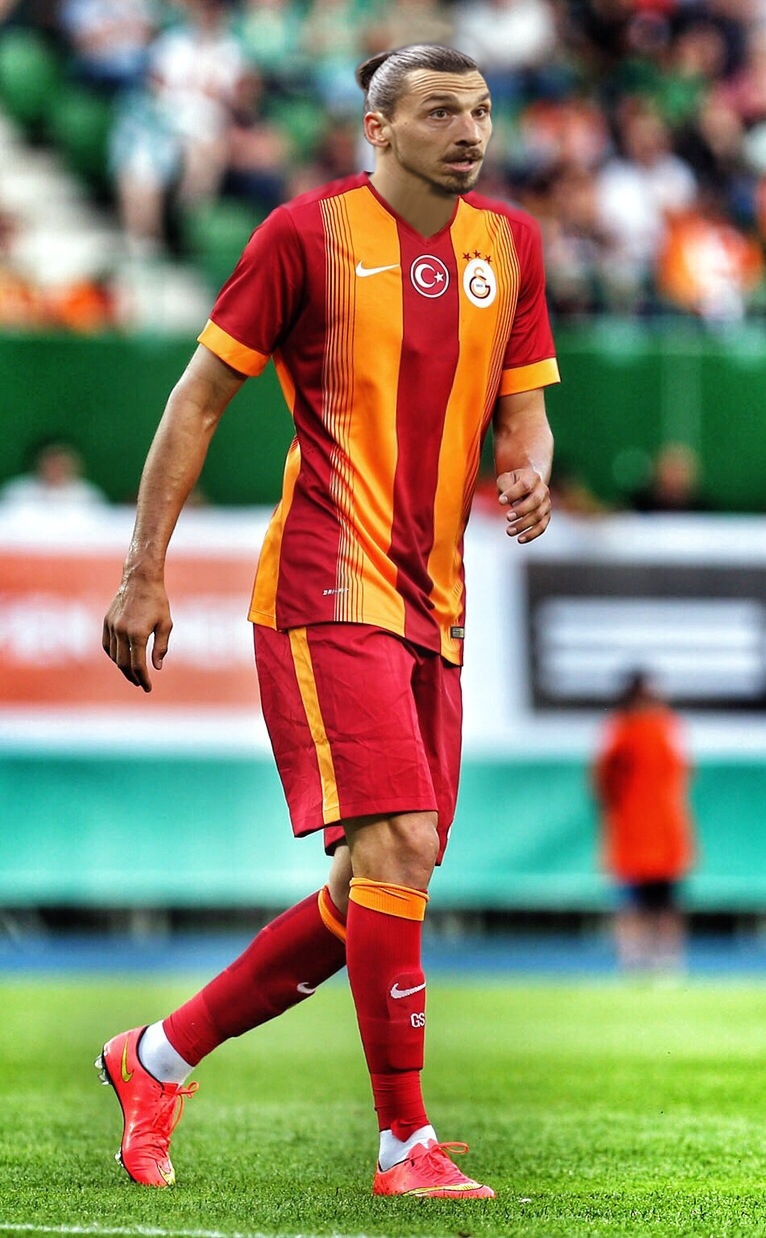  Son Dakika Berbatov Galatasaray da !