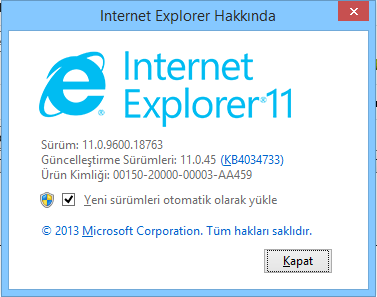 Windows 8.1 Internet Explorer Güncellemesi