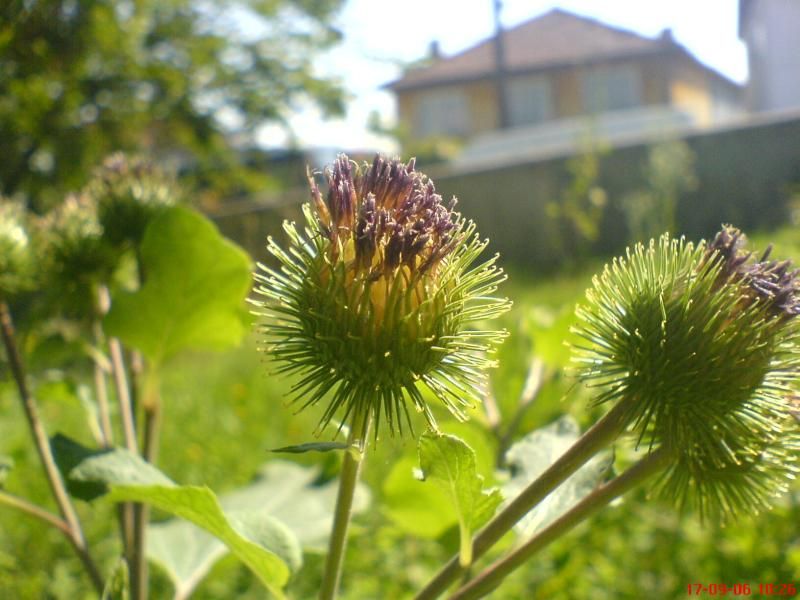  EN GÜZEL MAKROLAR BURAYA  ---S.E-----