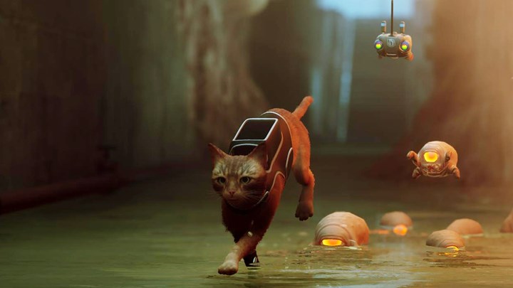 Stray - İnceleme: 'Keşke tüm oyunların ana karakteri kedi olsa'