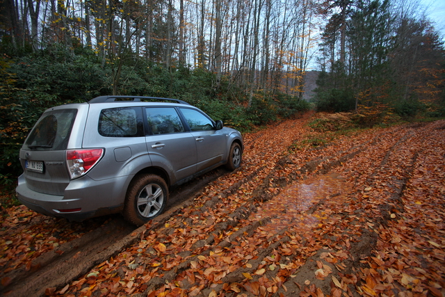  Corolla gitti, Forester geldi.(Yeni Fotoğraflar+Videolar))