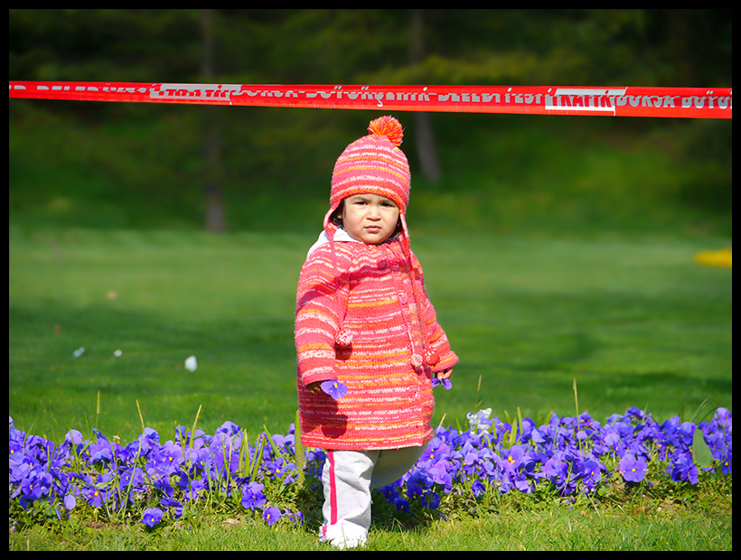  Canon 7D vs Canon 600D vs Panasonic GH1(2) fotoğraflı boyut karşılarştırması