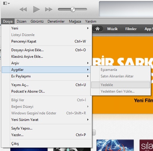  iTunes Aygıtlar kısmı çalışmıyor?