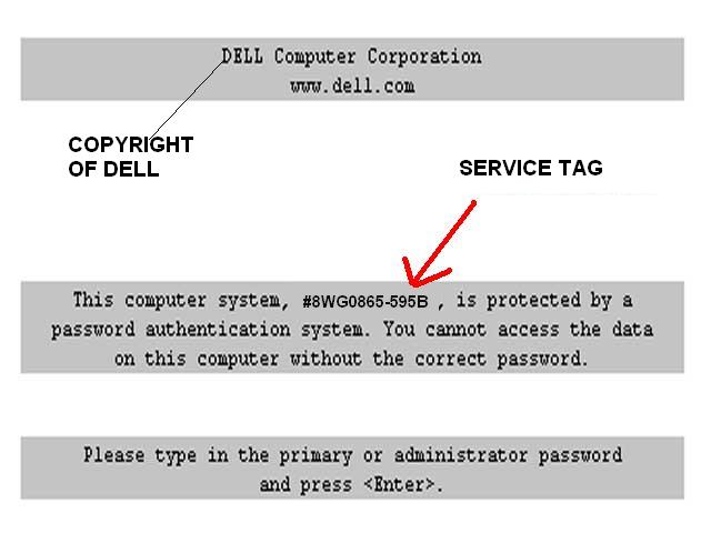  DELL LATITUDE C600 ACİL YARDIMM