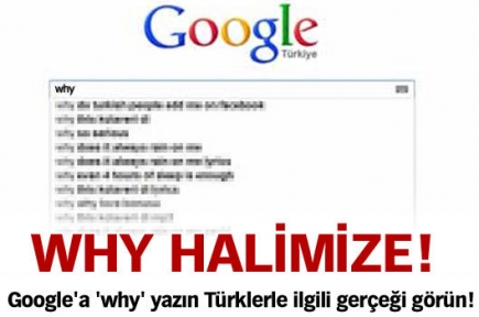  Google'a 'why' yazınca bakın ne oluyor...