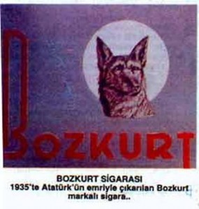 Bozkurt Atatürk ‘e Niçin Tahammül Edemediler?