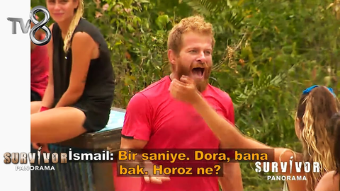 🌴SURVIVOR 2025 - MAĞDURLAR VS TORPİLLİLER