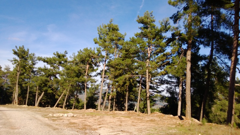  Lumia 920 Fotoğraf Paylaşım Konusu