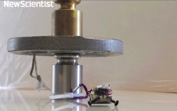 Kertenkele'den ilham alan ufak robot kendi ağırlığının 100 katını çekebiliyor