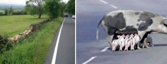  İlginç Yasaklar, Deneyler, Binalar-Tehlikeli Yollar vs. (øØ)
