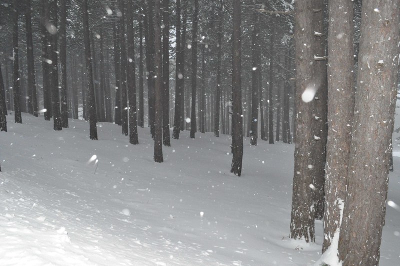  Tokat'ta kar var beyler [SS'li]