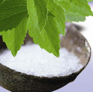  ŞEKER OTU Stevia Rebuana DİYABETLİLER BAKIN