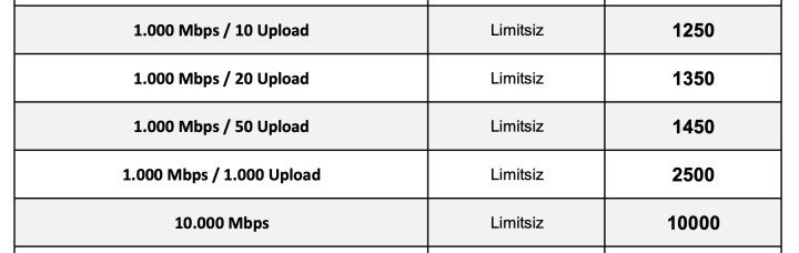 Turkcell Superonline 1.000 Mbps simetrik fiber internet sunuyor