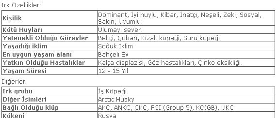  Sibirya kurdu karakteri,özellikleri vs nelerdir ?