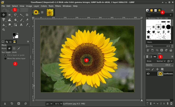 Fotoğraf düzenleme programı önerisi için en iyi fotoğraf düzenleyiciler (2025)