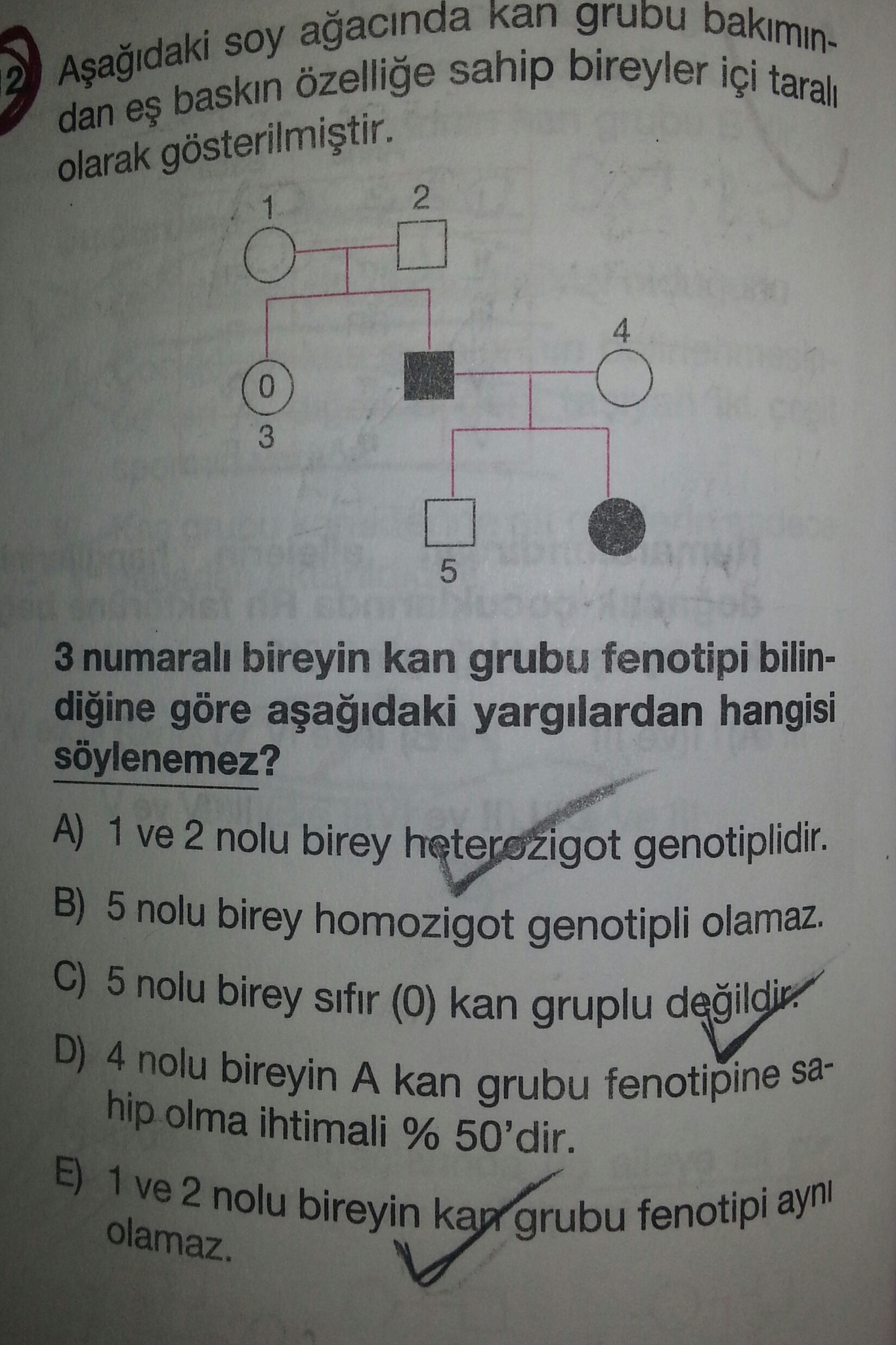  kalıtım 1 soru