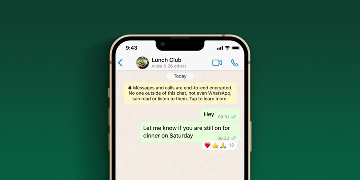 Artık WhatsApp mesajlarına tüm emojilerle tepki verebilirsiniz