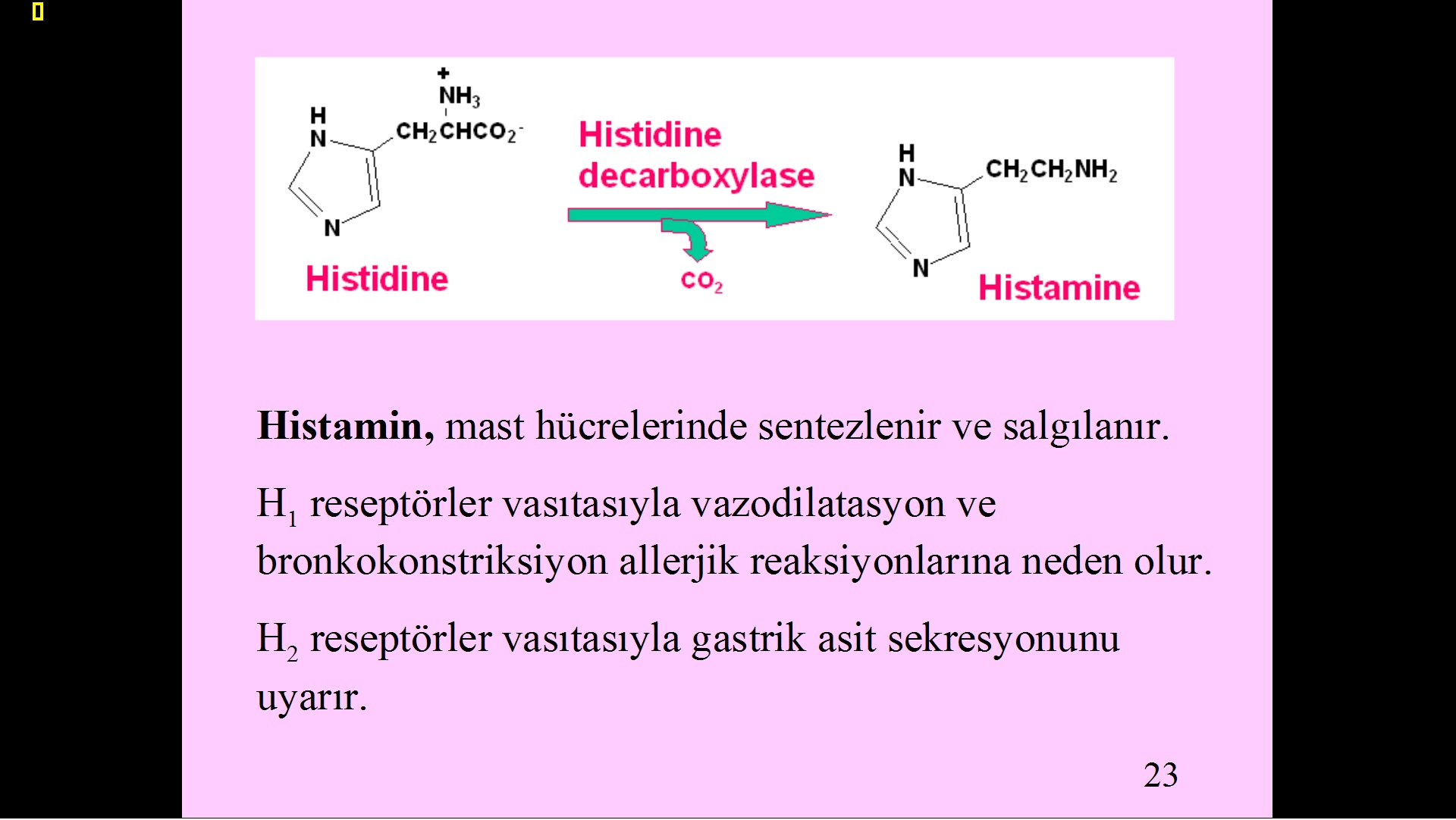  Evrim ve Tesadüf