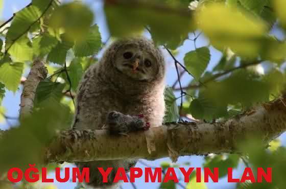  sakinleşemiyorum lütfen yardım